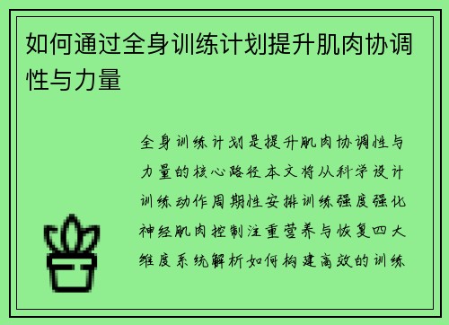 如何通过全身训练计划提升肌肉协调性与力量